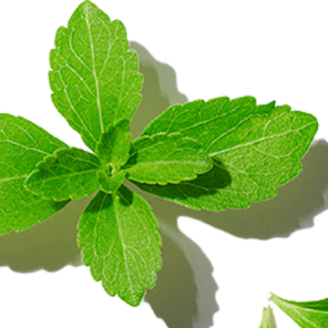 Rebiana (Stevia Leaf Extract)