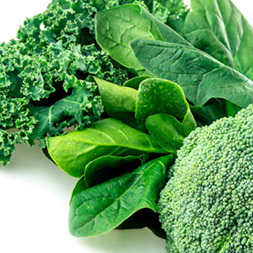 Vitamins B3, B5, B6, and B12